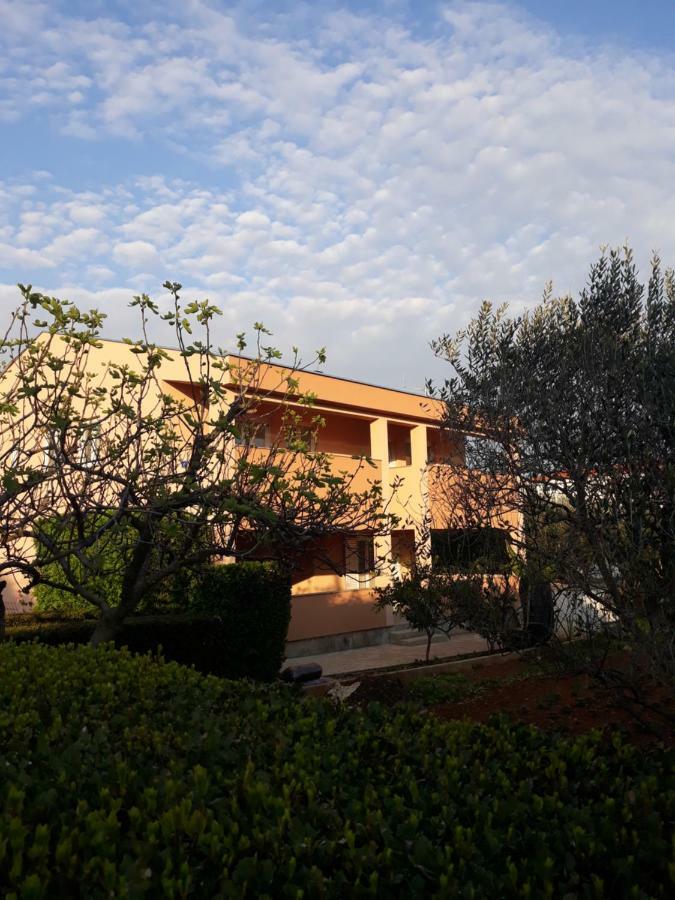 Mario Apartment Vir Bagian luar foto